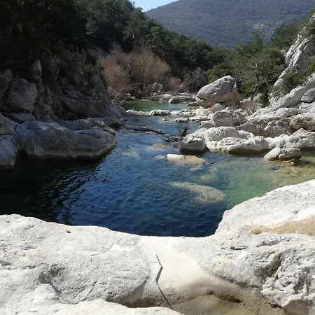 Campagnarde